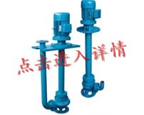 南京液下泥浆泵（YW型）